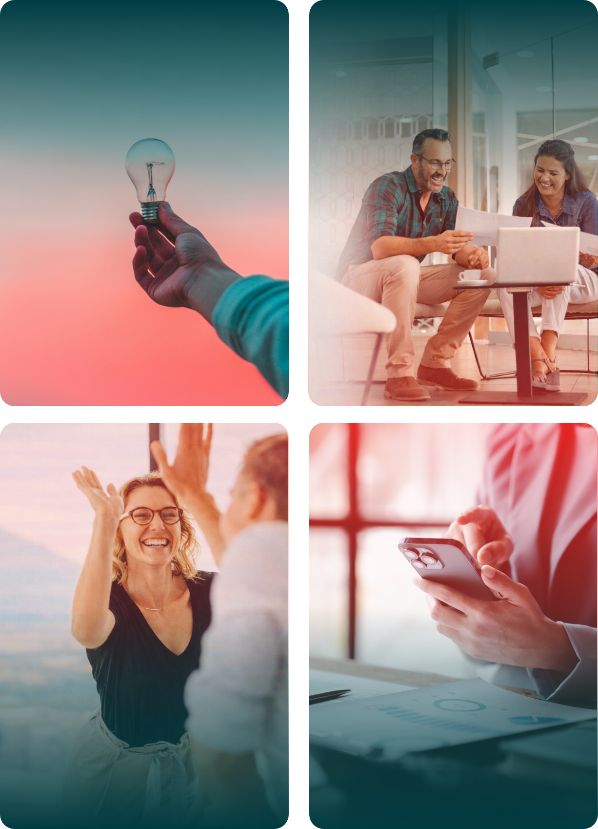 FCZ Consulting - Photos